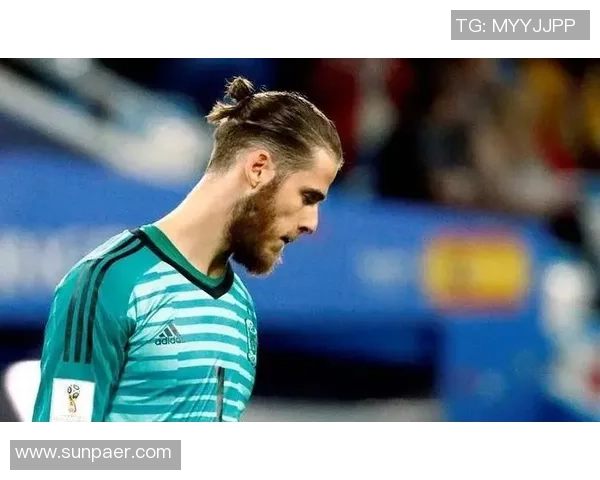 丸子足球明星是谁揭秘他们的成就与影响力分析