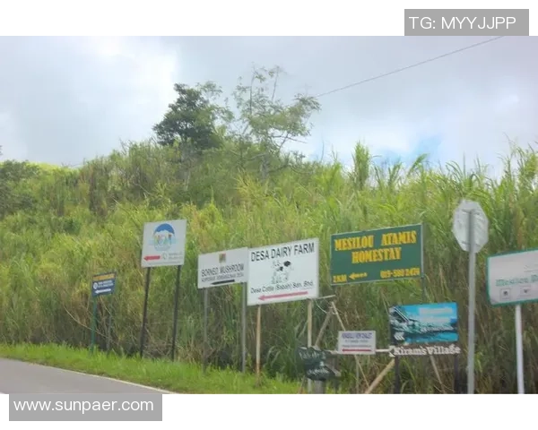 沙巴足球通道揭秘:畅游足球世界的最佳选择与攻略 沙巴足球通道揭秘:畅游足球世界的最佳选择与攻略